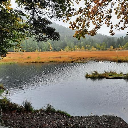 Au Coeur Des Lacs - Chambres D'Hotes Gérardmer Екстериор снимка
